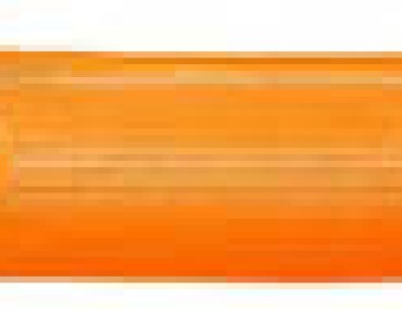 SANSUY SUPER: Laranja com Interno Verde